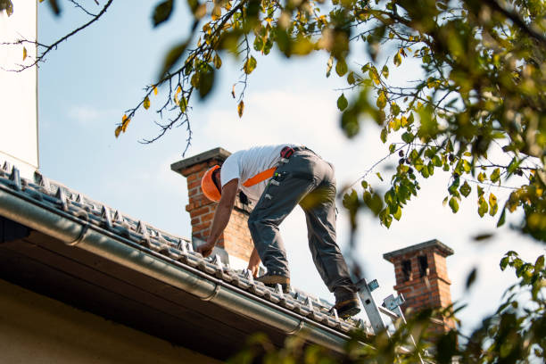 Quick and Trustworthy Emergency Roof Repair Services in Princeton, IL